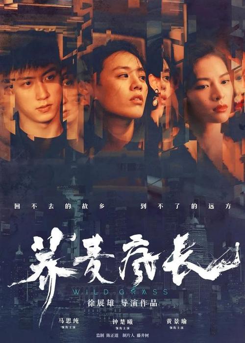 布赖特神学院学位证电子图